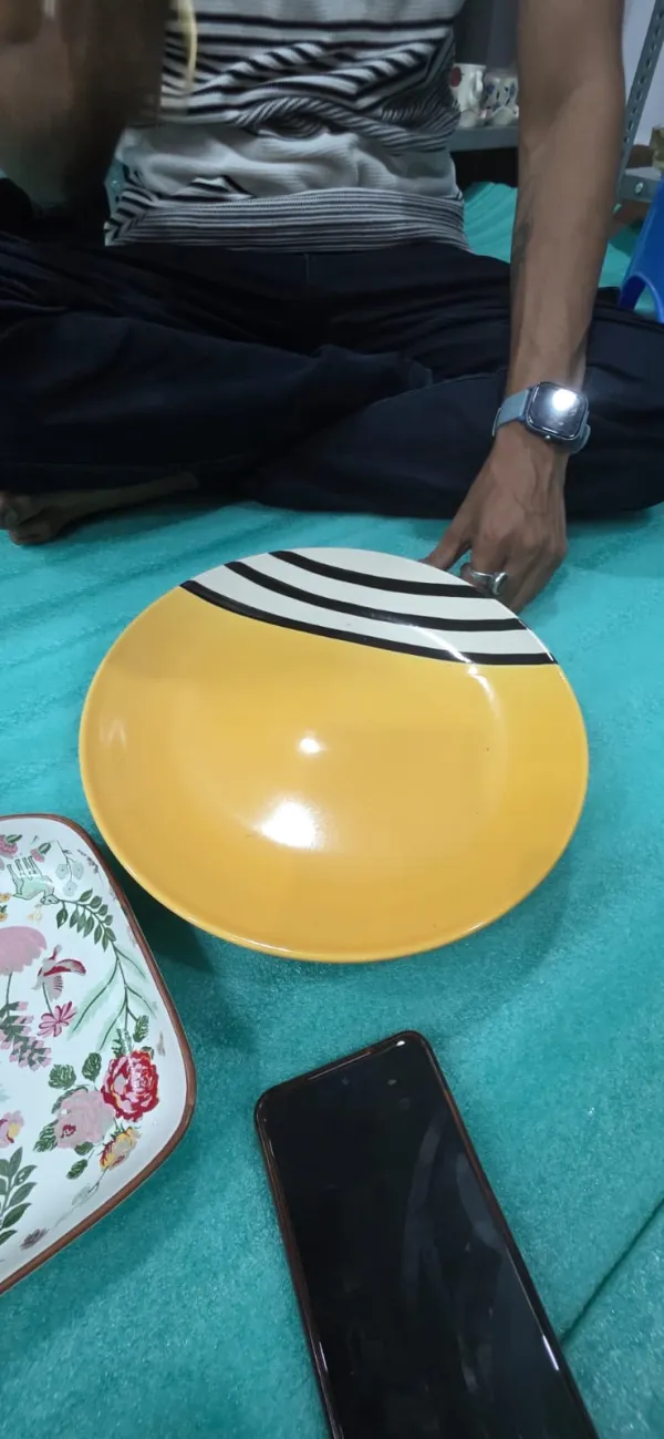 "Solar Stripe" Designer Dinner Plate
